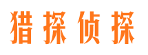 嘉祥调查公司